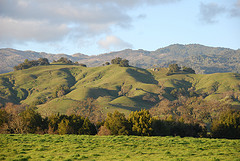 Napa Valley: www.flickr.com/photos/7189655@N05/2305078652 Napa Valley In California
