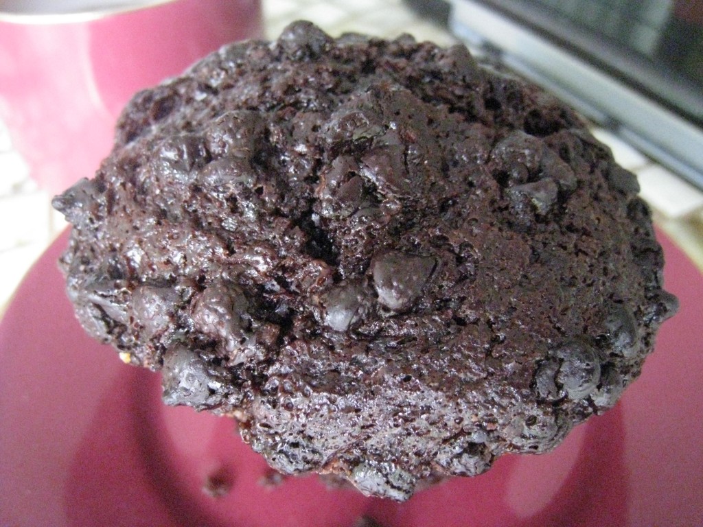 Chocolate muffin. Warning - objects in the photo ARE larger than they appear. My rich chocolatey breakfast.