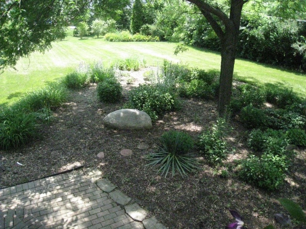 My not-so-English garden...