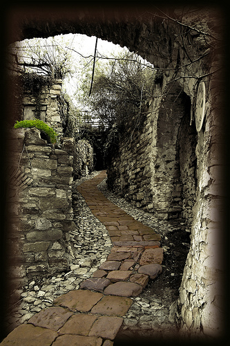 Stay tuned for future entries on my path to finding my kefi...