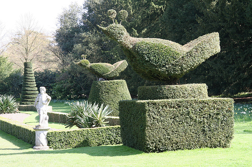 Topiary - a necessity for a true English garden