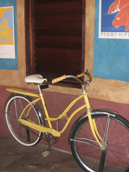 Bike European women are more often seen walking or riding a bike, rather than driving a car.