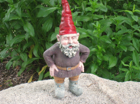 A Real Gnome