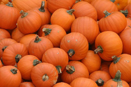 Pumpkins Pumpkins