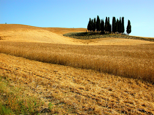 Under the Tuscan Sun put the Italian region of Tuscany on the map for romantic tourists.