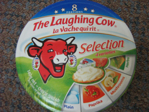 laughing cow: www.flickr.com/photos/15066506@N02/2219756123 laughing cow: www.flickr.com/photos/15066506@N02/2219756123