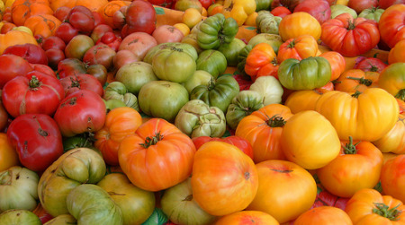 tomatoes tomatoes
