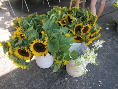 7.14.10 Farmer's Market3