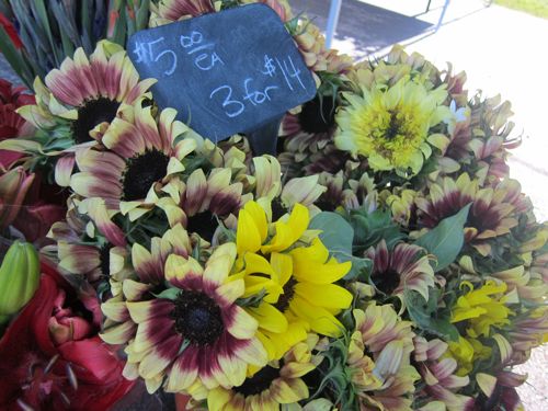 7.14.10 Farmer's Market4