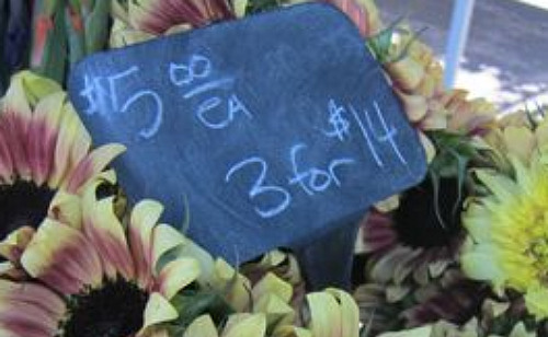 7.14.10 Farmer's Market6