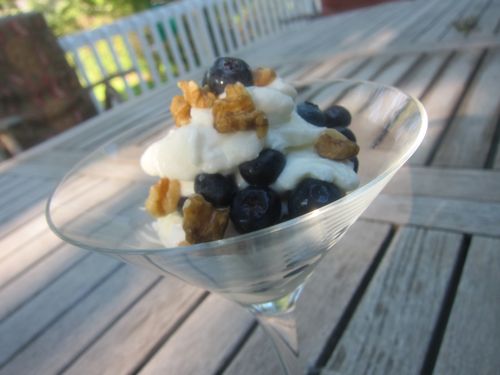 8.12.10 greek yogurt parfait1