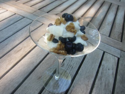 8.12.10 greek yogurt parfait2
