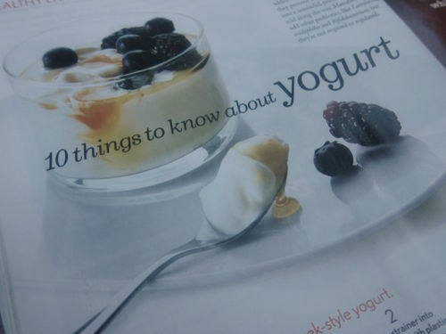 8.12.10 homemade greek yogurt 1