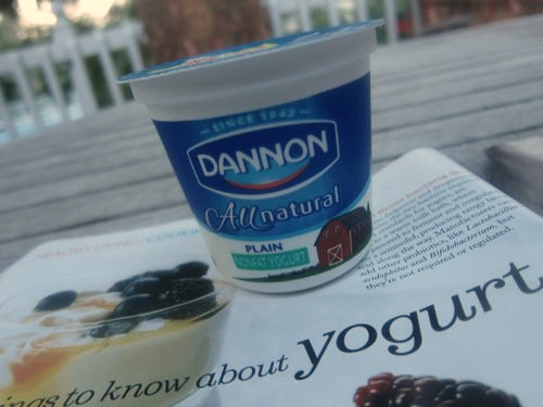 8.12.10 homemade greek yogurt 2