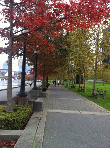 Vancouver5