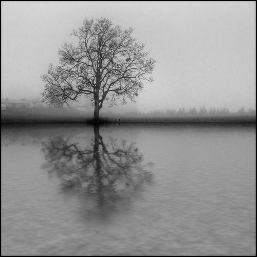 Winters Day