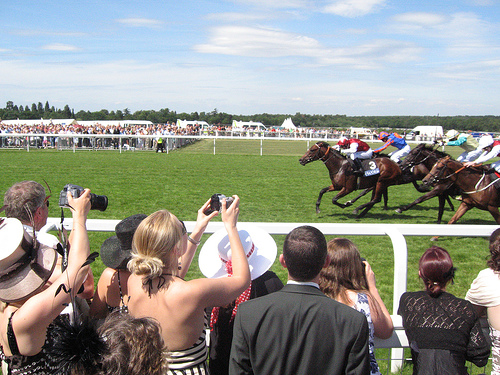 Royal Ascot Horses